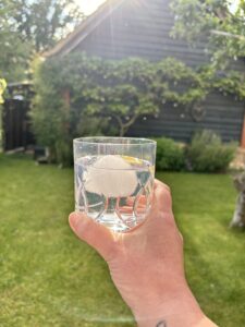 Gin and tonic in the garden