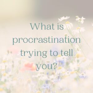What is procrastination trying to tell you?